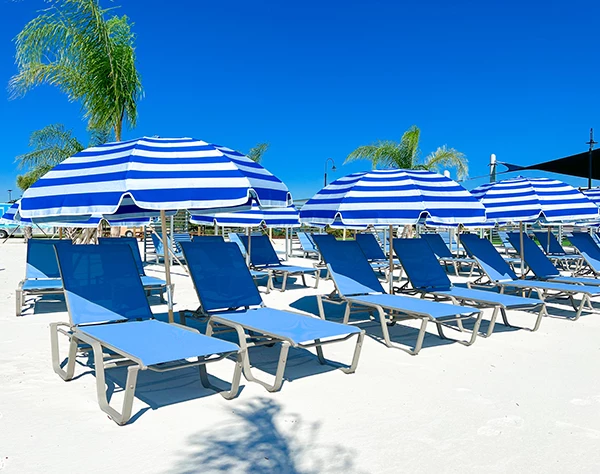 a group of chairs and umbrellas on a beach