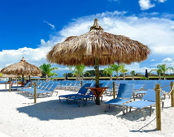 a beach with chairs and umbrellas