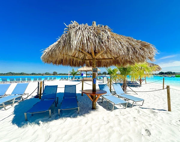 a beach with chairs and umbrellas