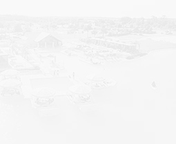 a white background with buildings and trees