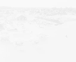 a white background with buildings and trees