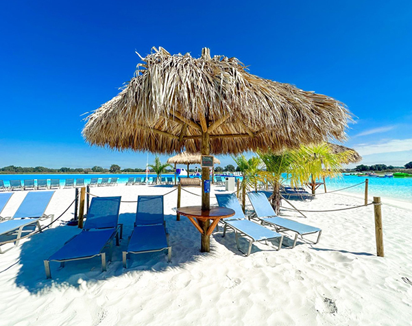 a beach with chairs and umbrellas