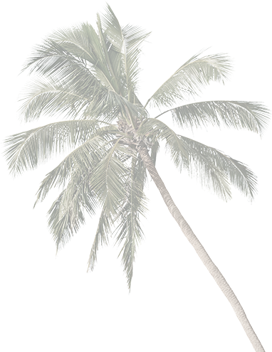 palm