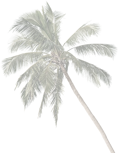 palm