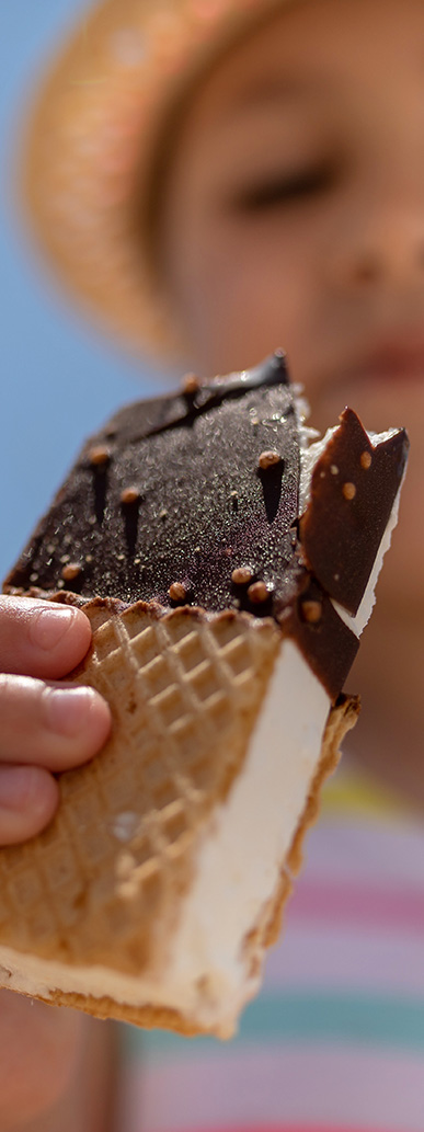 a hand holding a chocolate ice cream sandwich