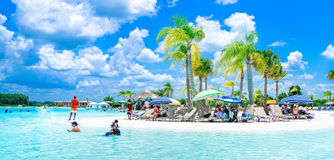 a group of people on a beach