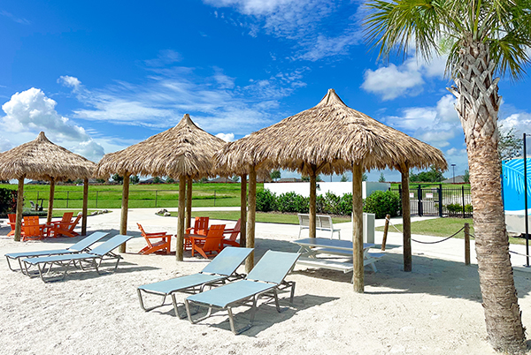 a group of chairs and umbrellas on a beach