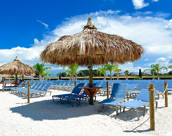 a beach with chairs and umbrellas
