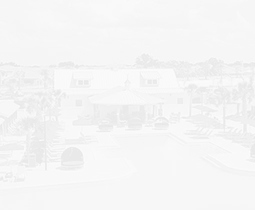 a white house with a pool and palm trees