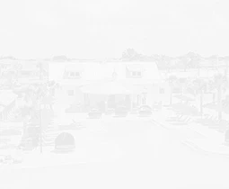 a white house with a pool and palm trees