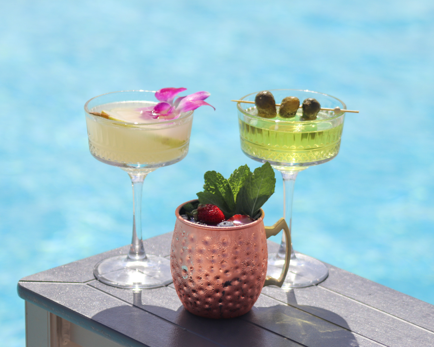 Grey Goose vodka featured for November