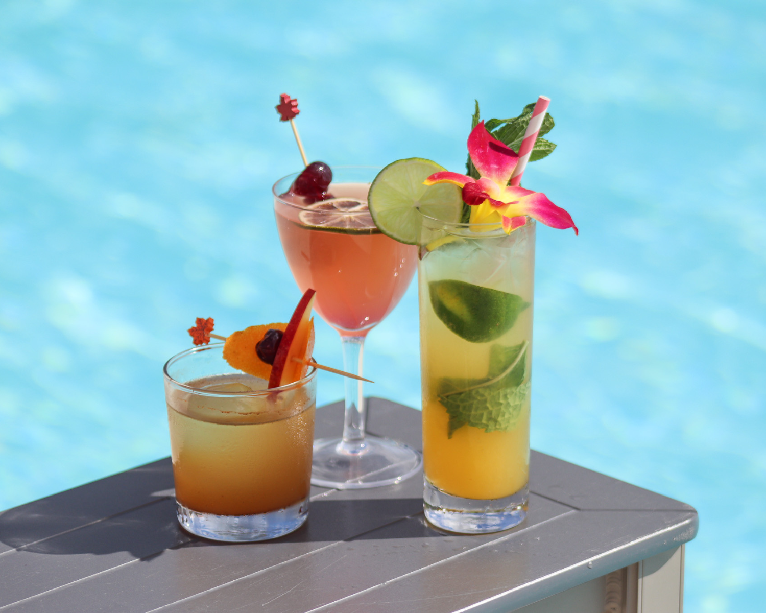 Bacardí rum featured for October