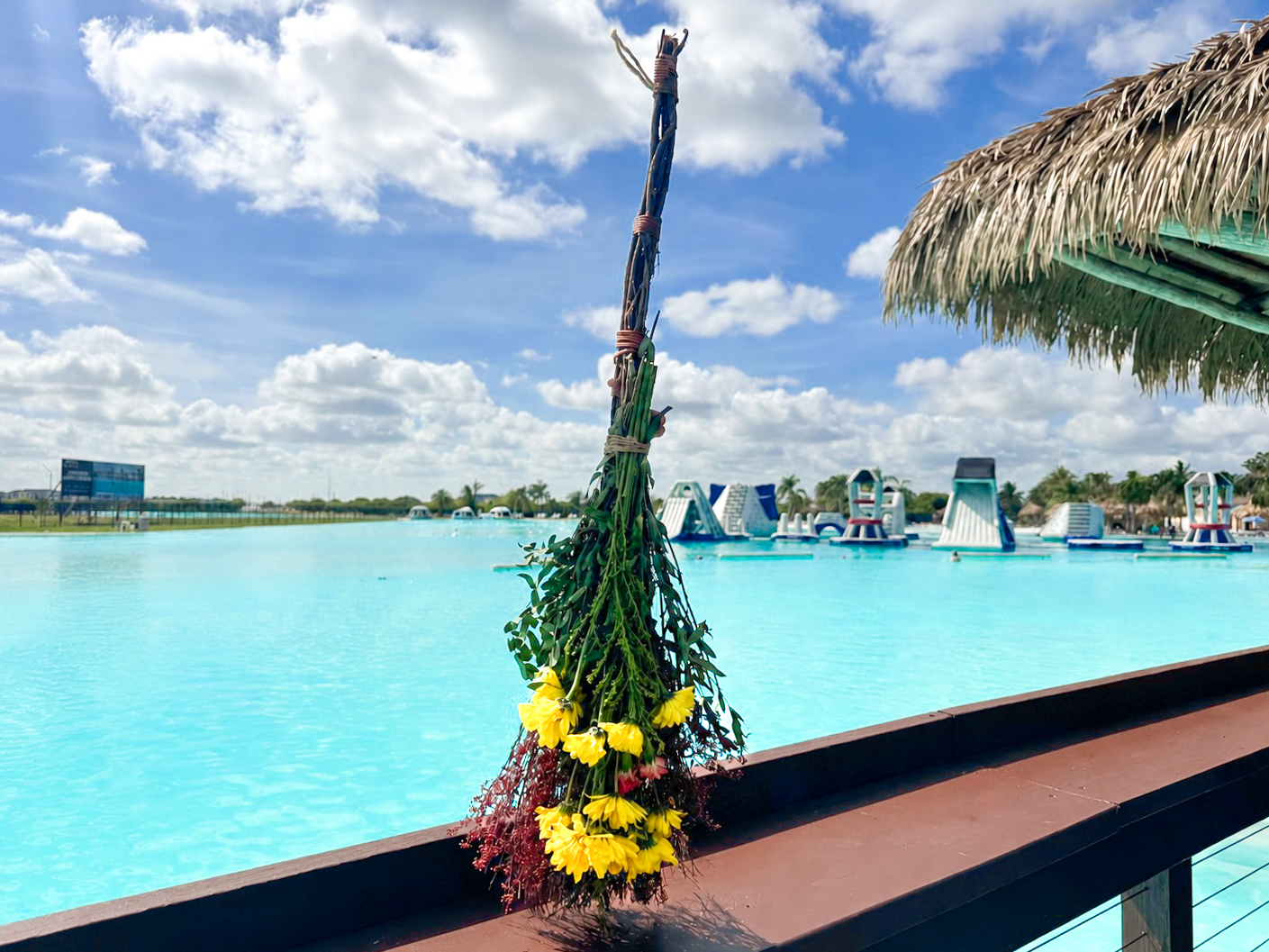 a bunch of flowers on a ledge next to a pool