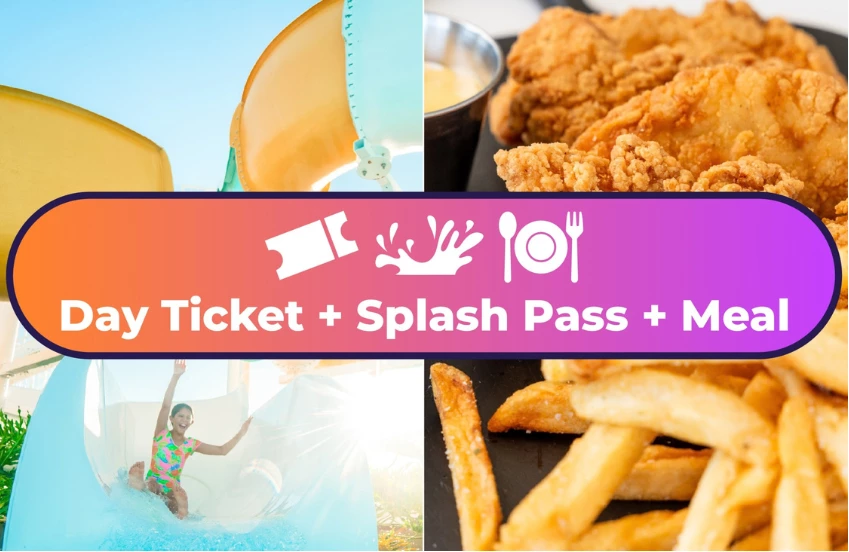 DAY TICKET + SPLASH PASS + MEAL