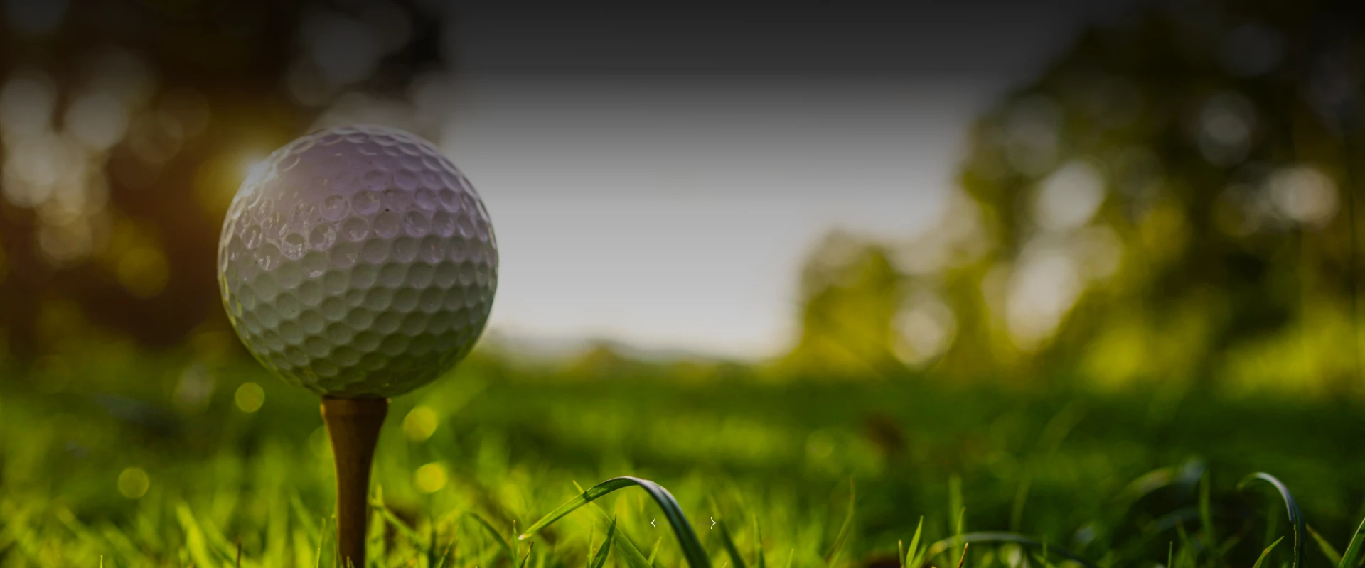a close up of a golf ball