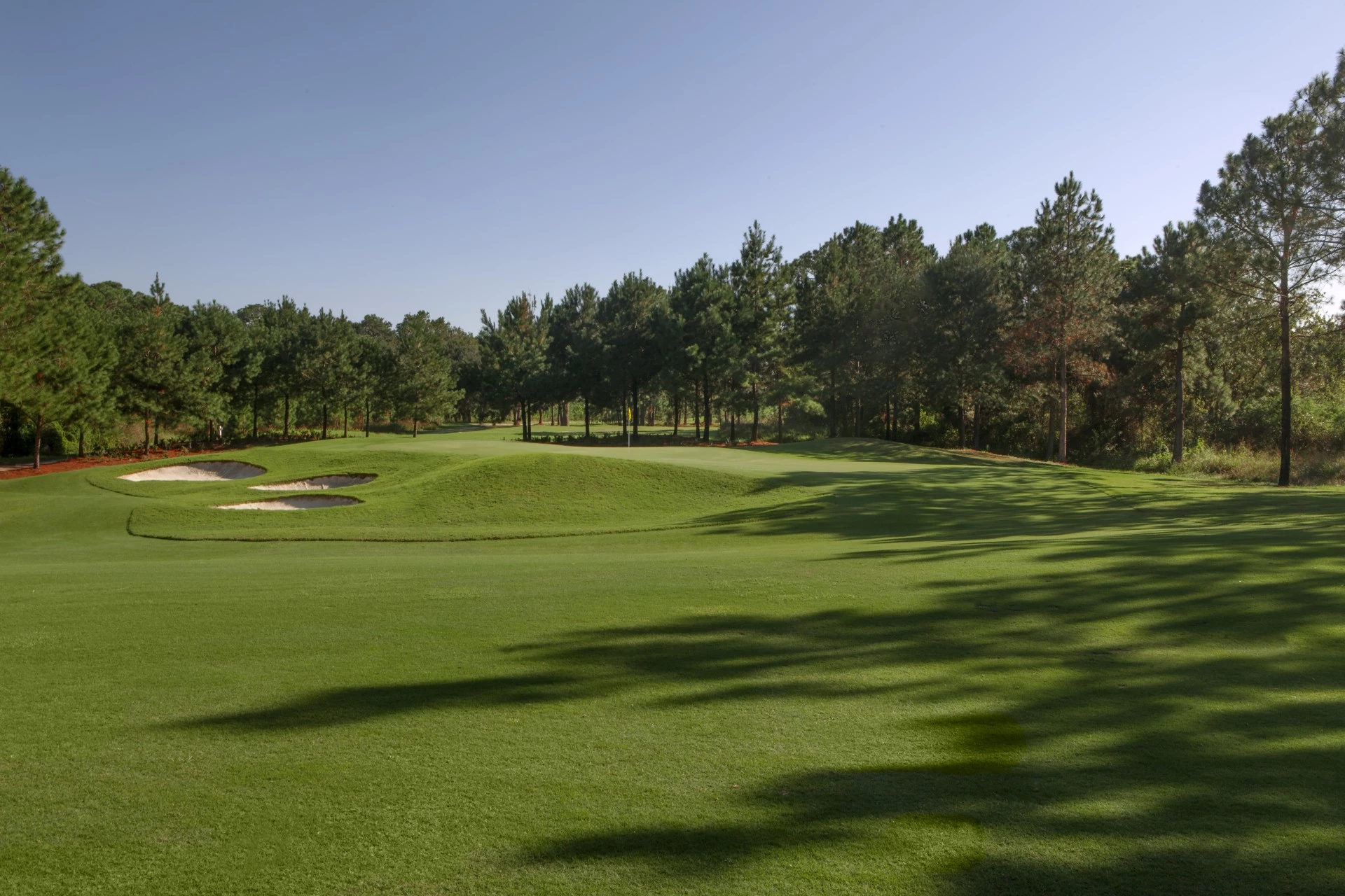 a golf course with trees in the background