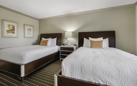 two beds in a room