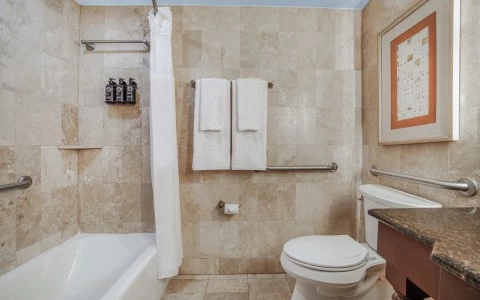 a bathroom with a toilet and bathtub