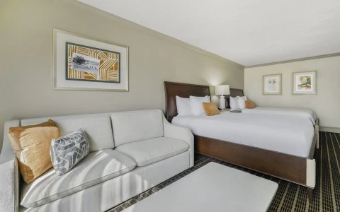 a room with two beds and a couch