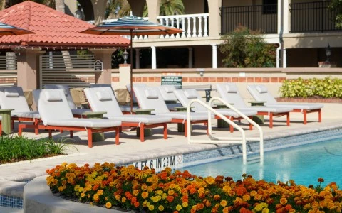 a pool with chairs and flowers