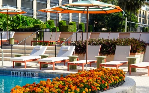a pool with chairs and umbrellas