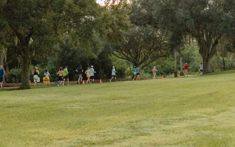 a group of people running on a grass field