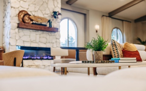 a room with a fireplace and a plant