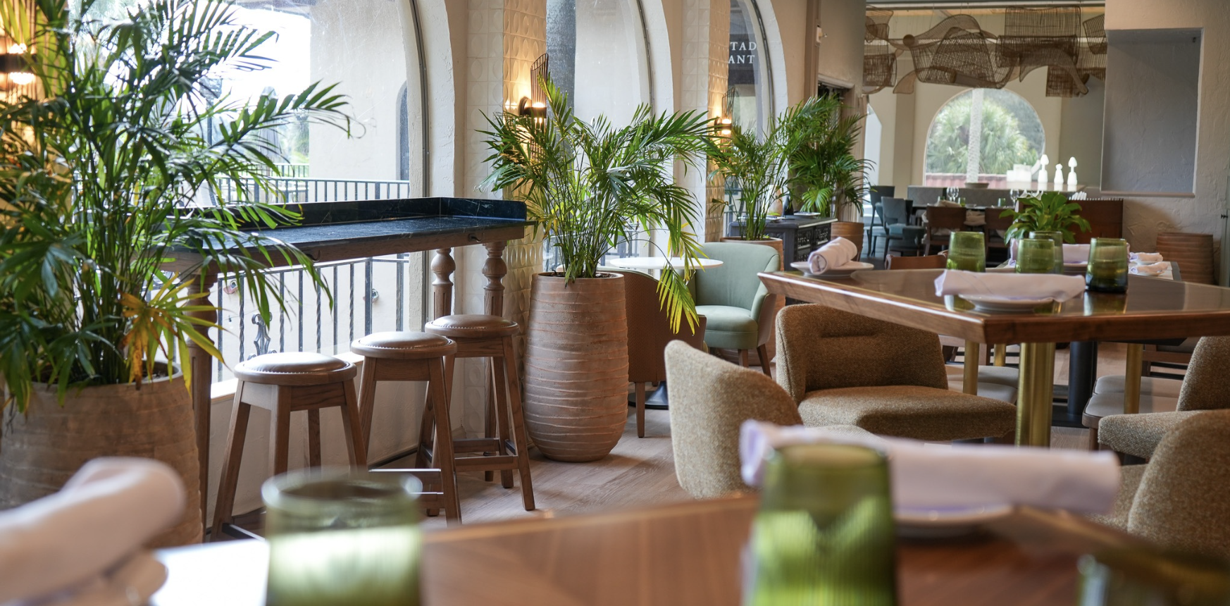 a room with chairs and tables and plants