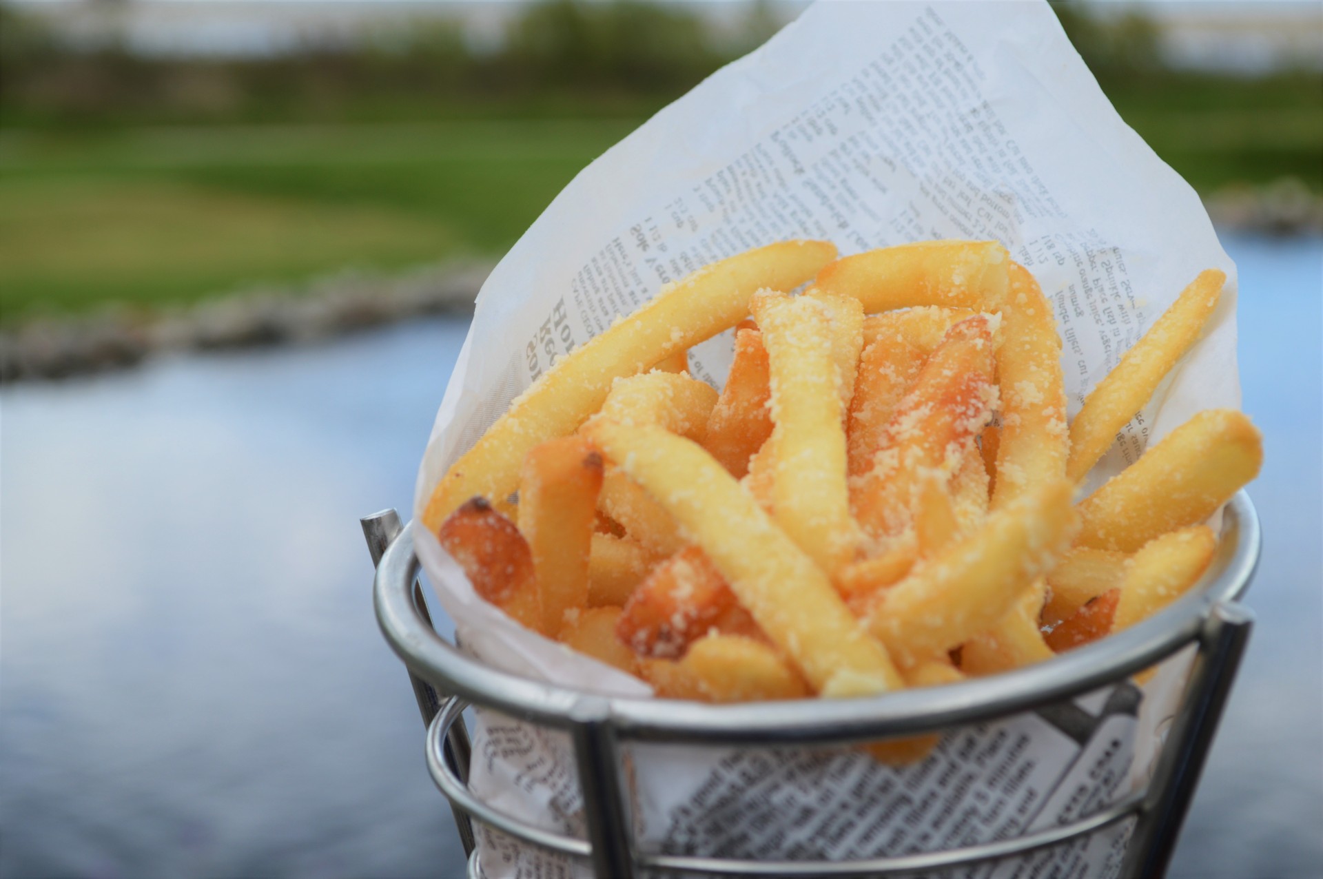 a basket of french fries