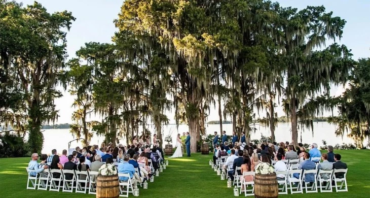 a group of people sitting in chairs under a tree