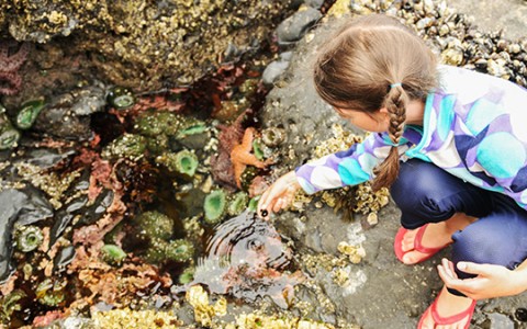 a girl reaching for a small black object in a pool of water