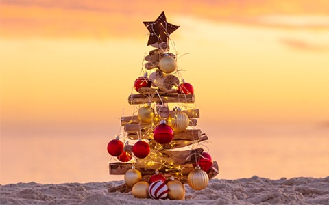 a tree made of driftwood with ornaments and lights
