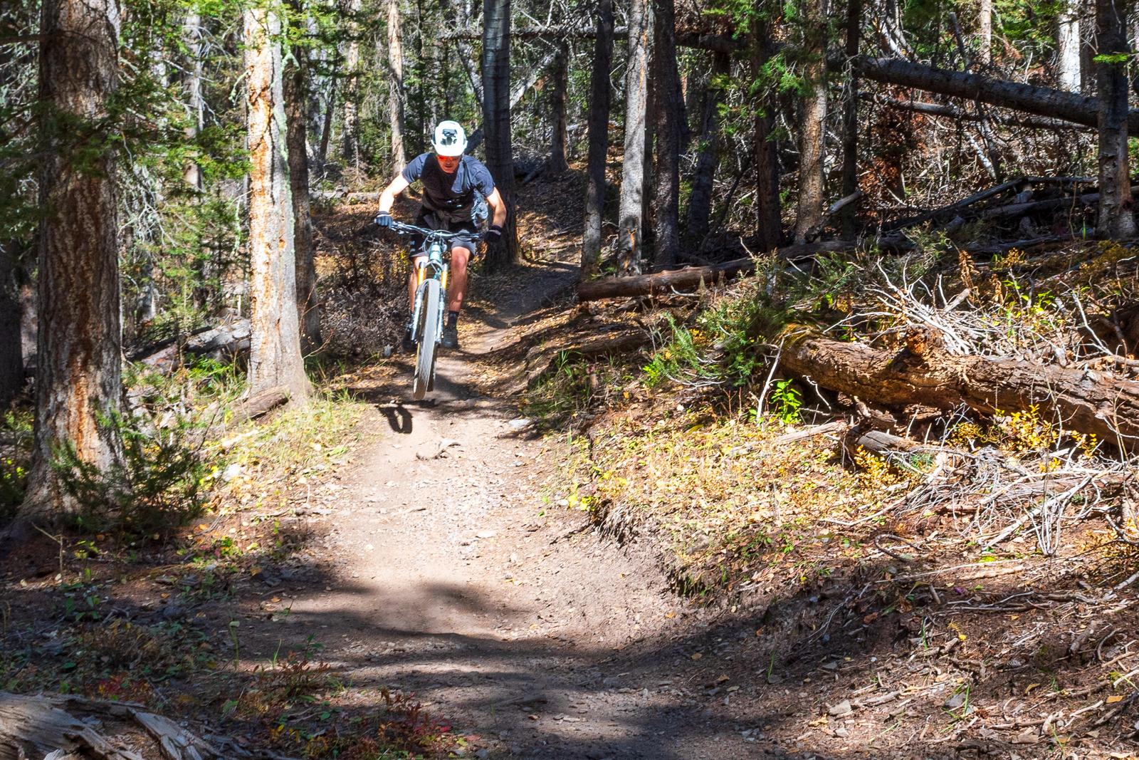 Trails above Mountain Village, Telluride