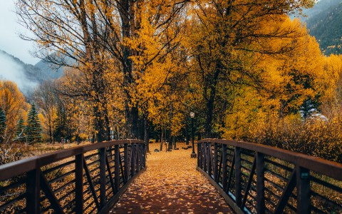 a bridge with a railing and trees in the background