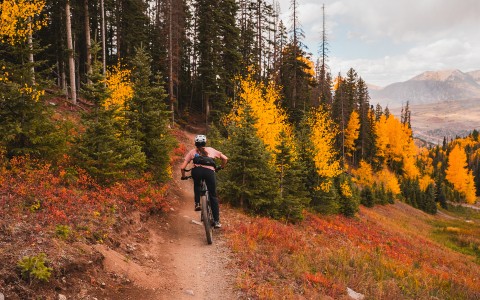 a person riding a bike on a trail with trees in the background