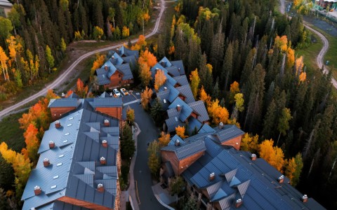 a group of houses with trees around