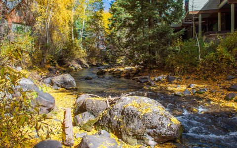 a river with rocks and yellow leaves