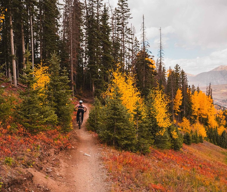 a person riding a bike on a trail with trees