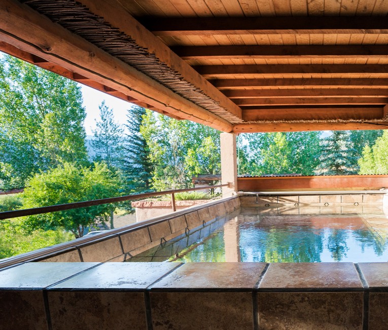 a pool with a wooden roof