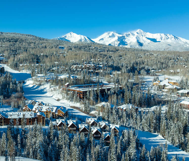 a view of the property during the day with snow covered rooftops and tall green trees