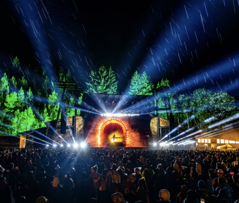 a large crowd of people at a concert