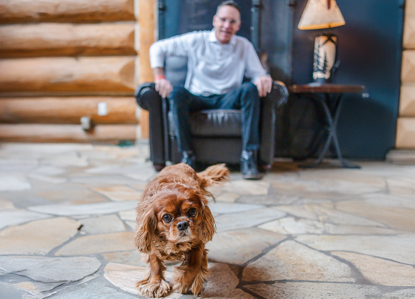 a dog walking on a stone floor