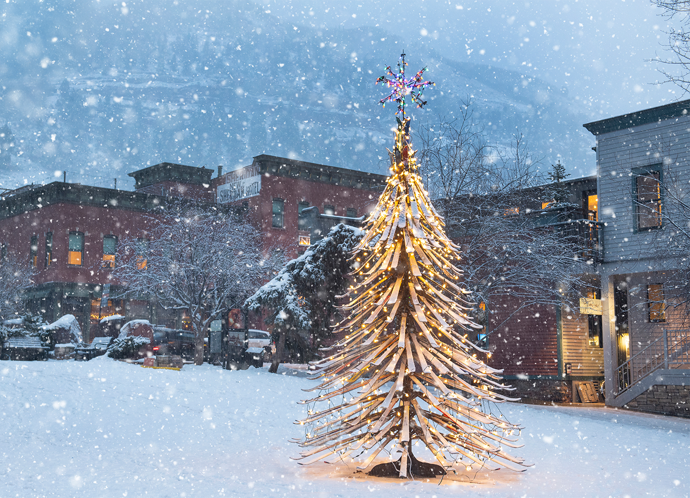 a christmas tree in the snow