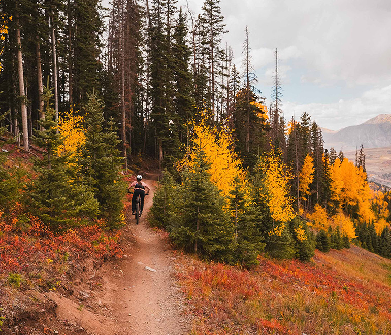 a person riding a bike on a trail with trees