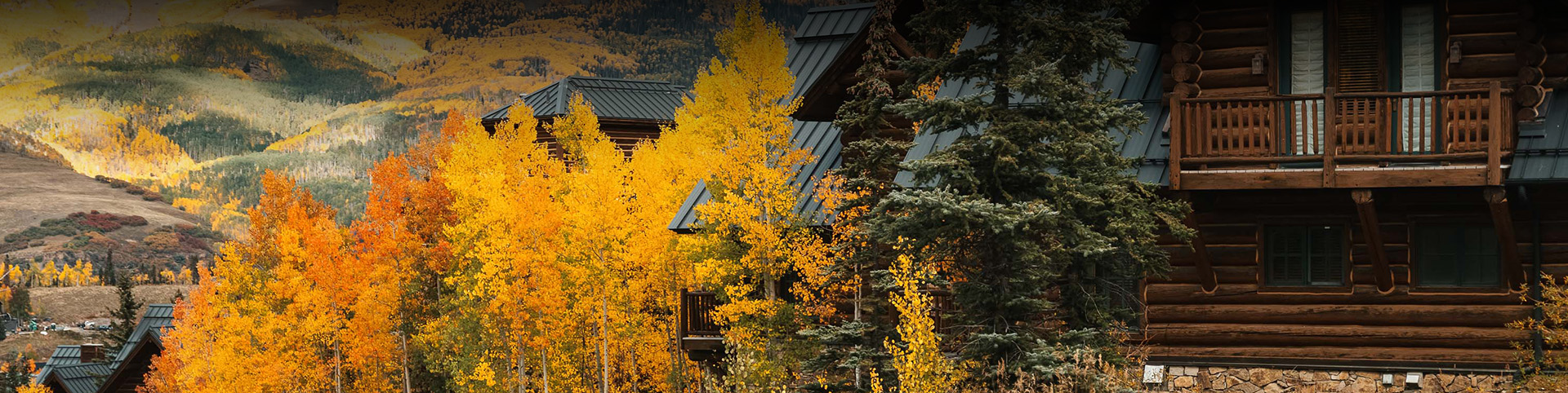 a house with yellow leaves