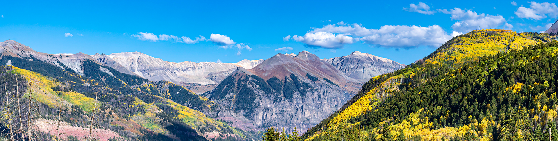 a mountain range with yellow flowers