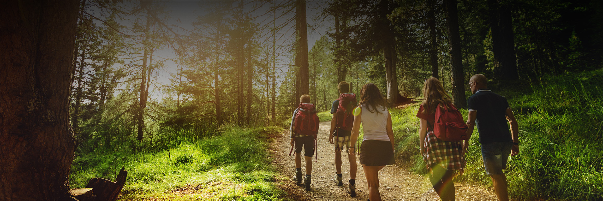 a group of hikers walking along a dirt path in the forest at sunset