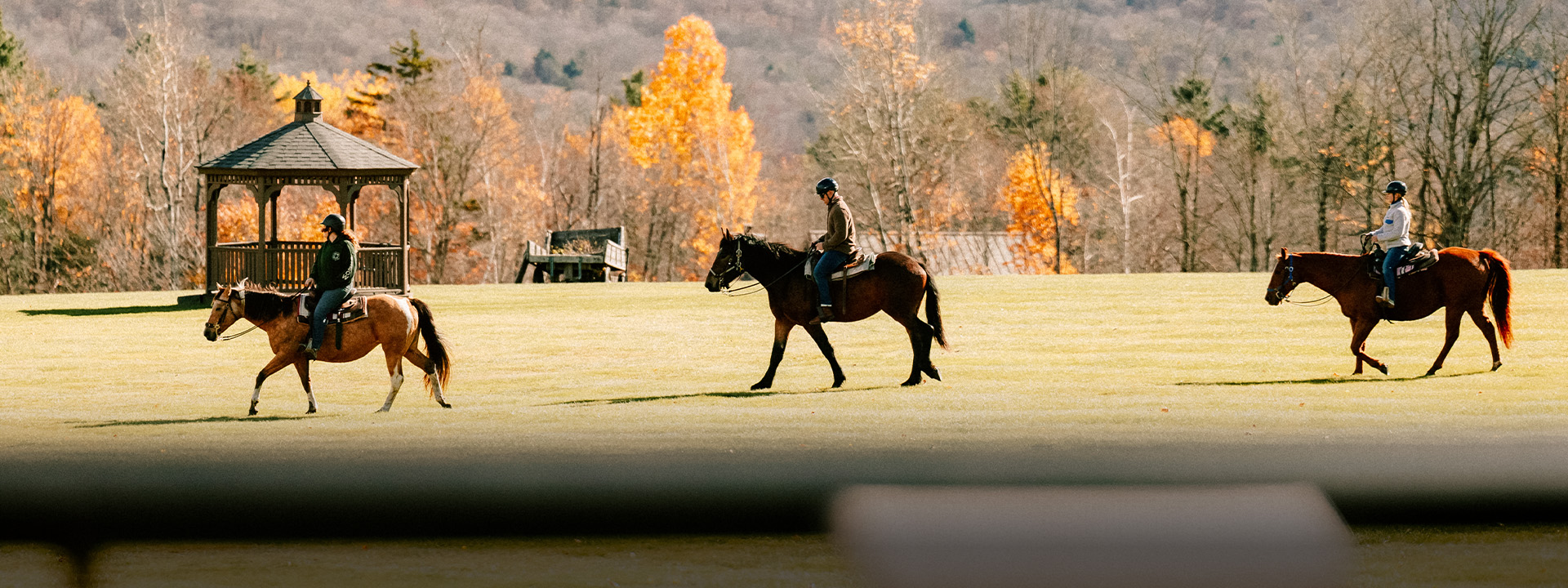 a man riding a horse in a field