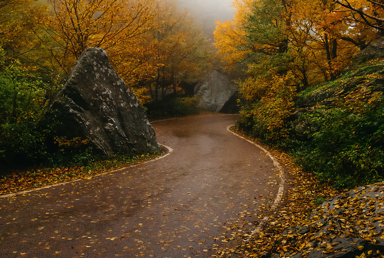 SEASONAL EVENTS<br>& CELEBRATIONS