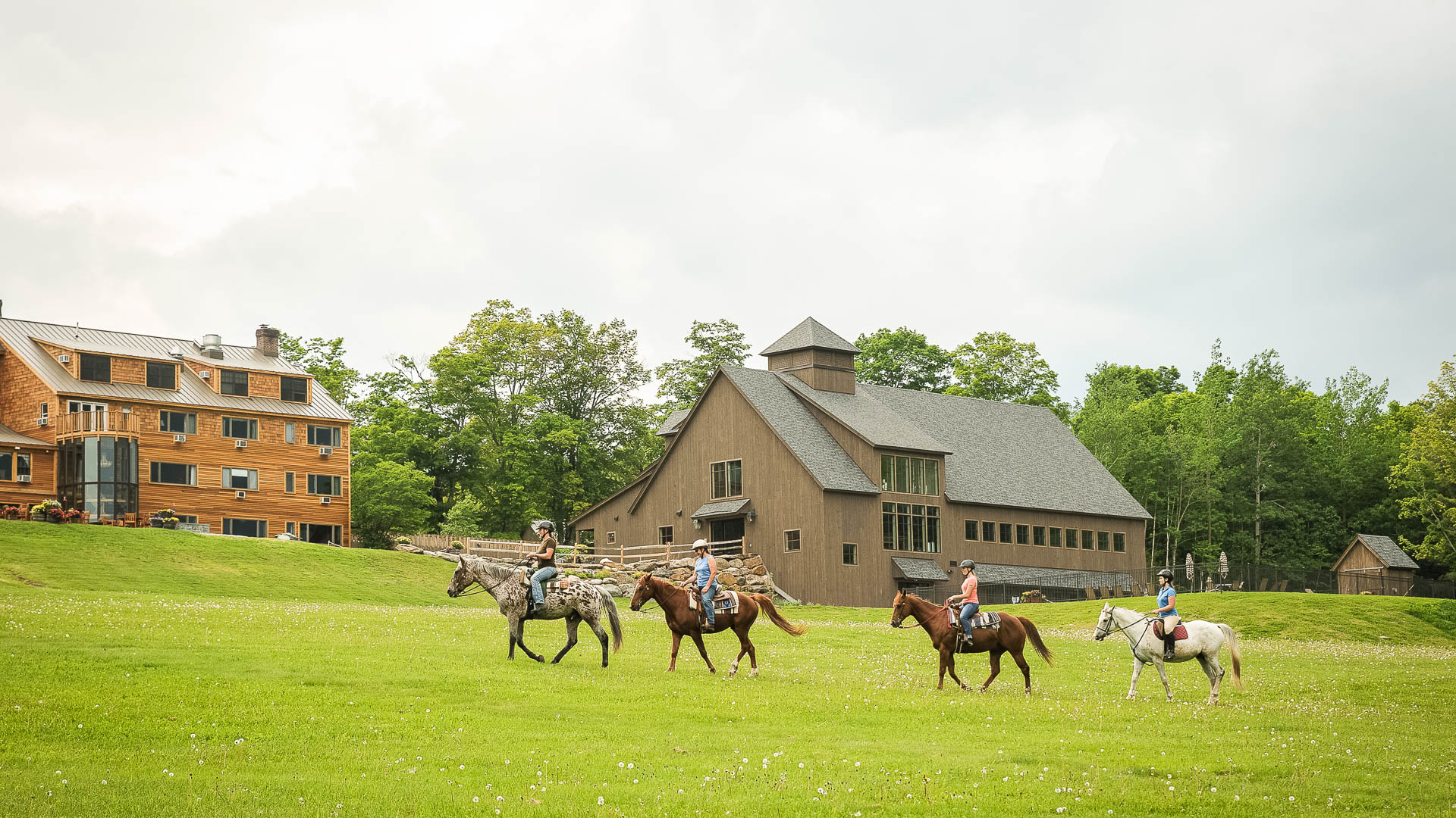 people riding horses in a field